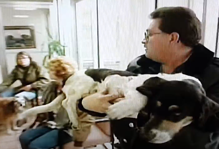 A screenshot of the TV show Emergency Vets