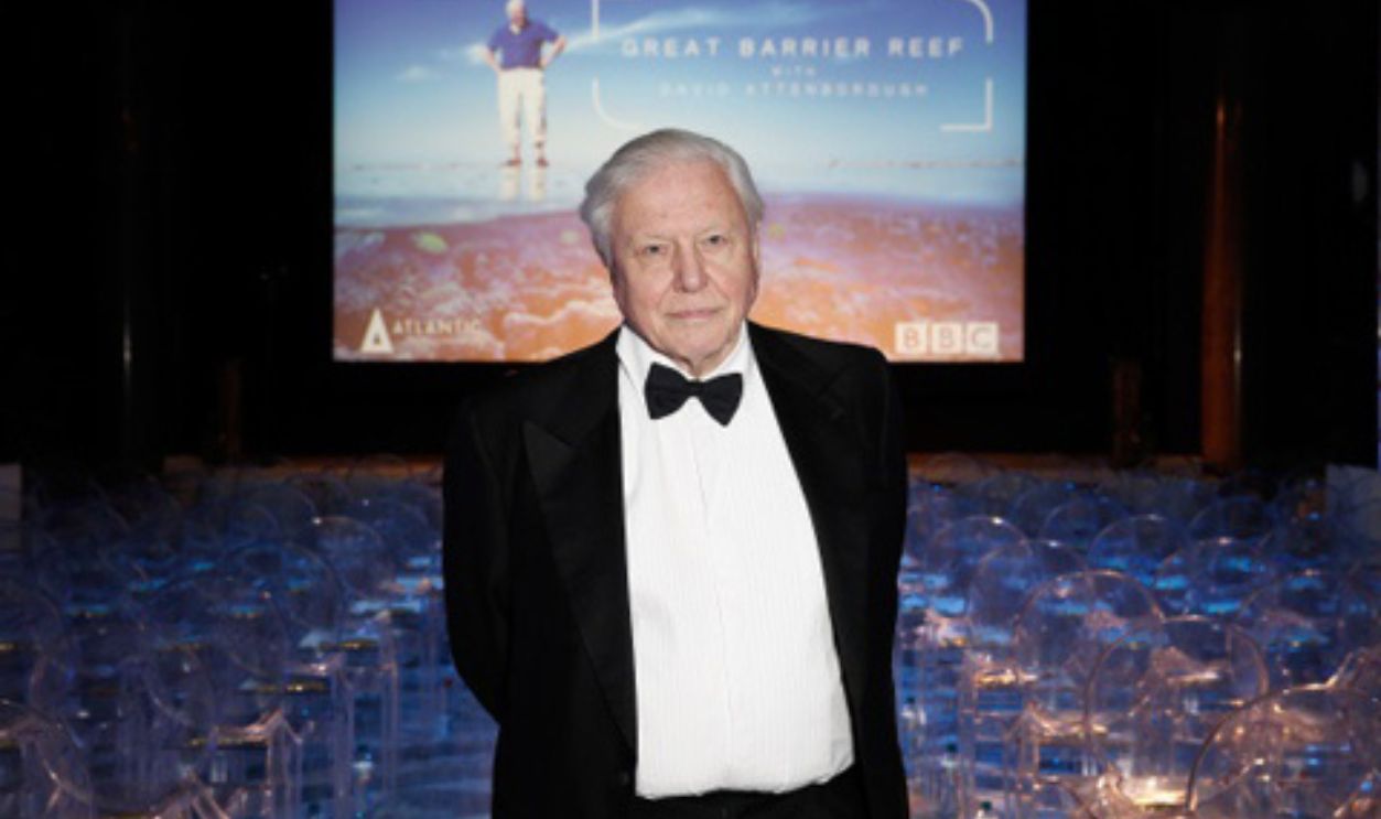 David Attenborough