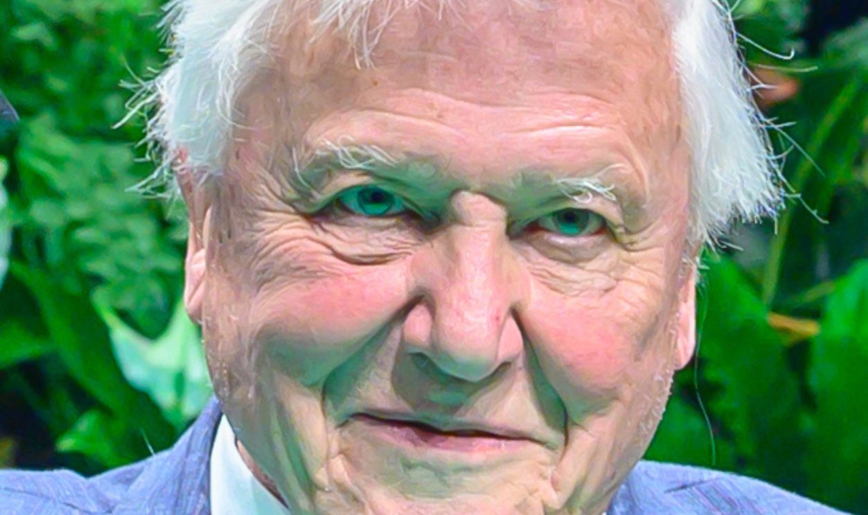 David Attenborough