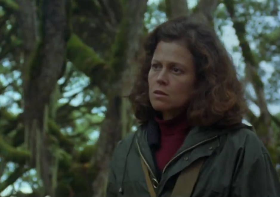 Screenshot from the movie Gorillas in the Mist (1988)