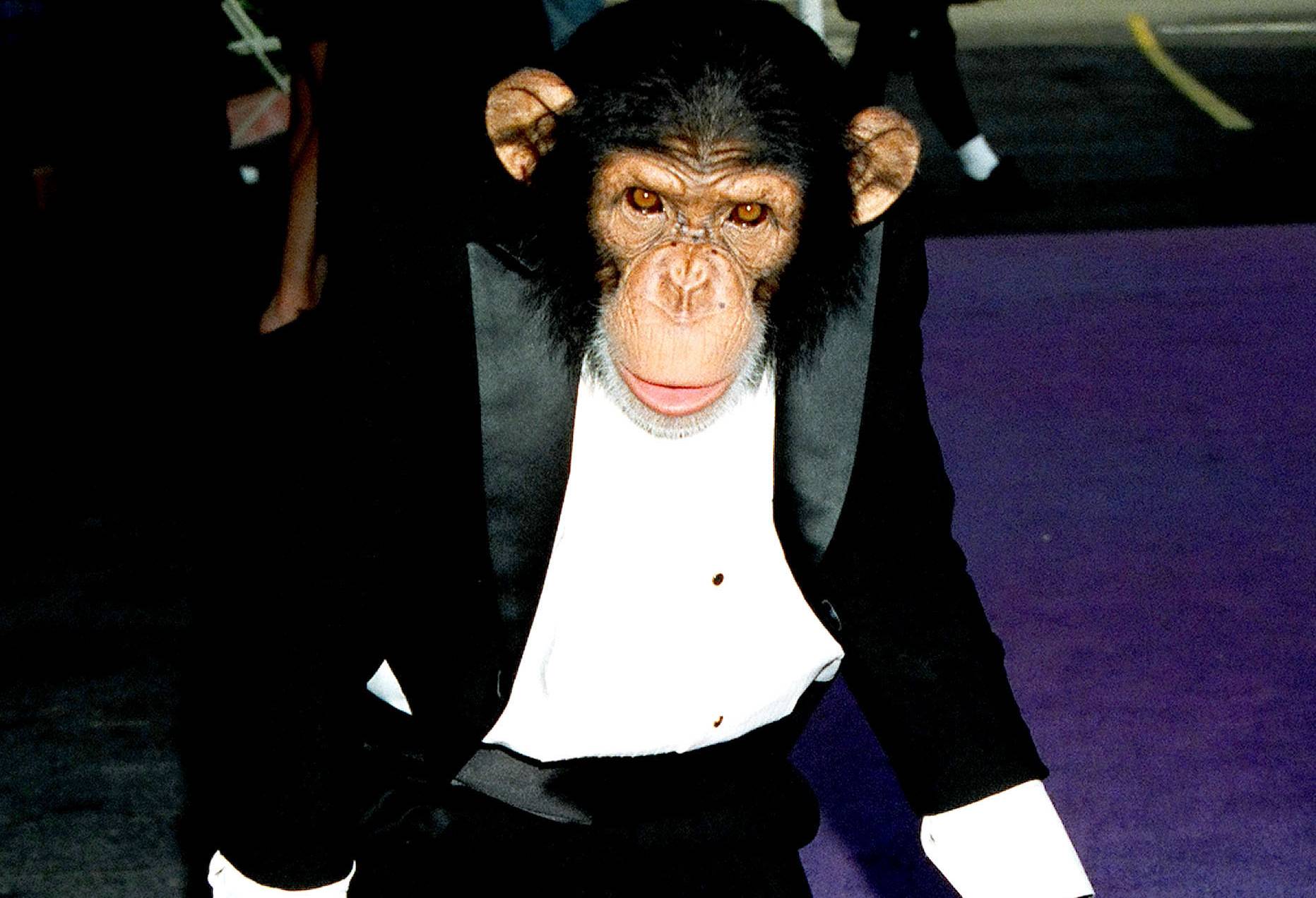 Michael Jackson's Monkey during 1994 MTV Movie Awards