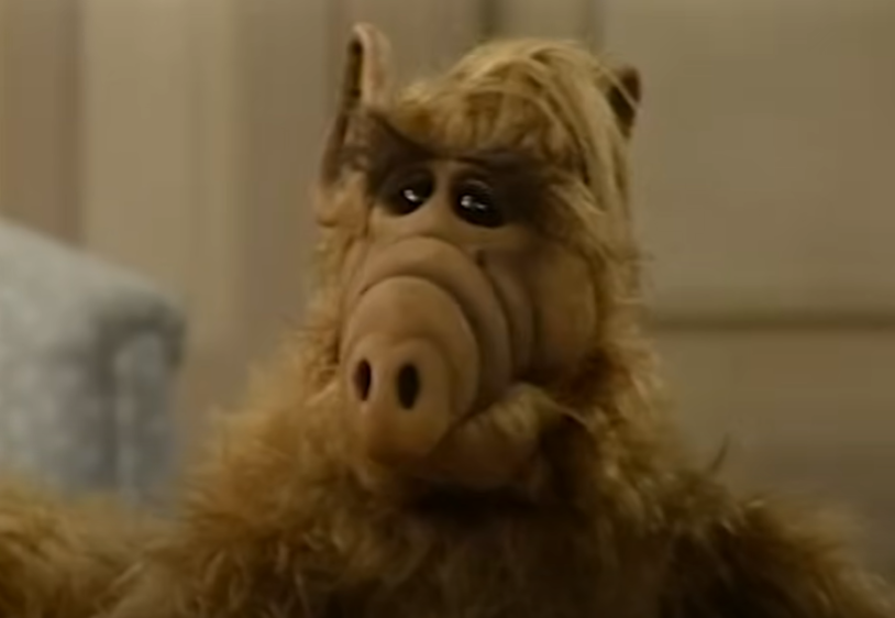 Screenshot of the TV Show ALF