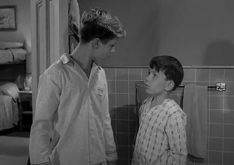 Screenshot of  the TV Show Leave It to Beaver