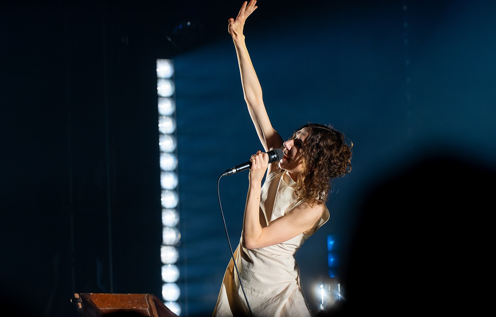 PJ Harvey performing on stage