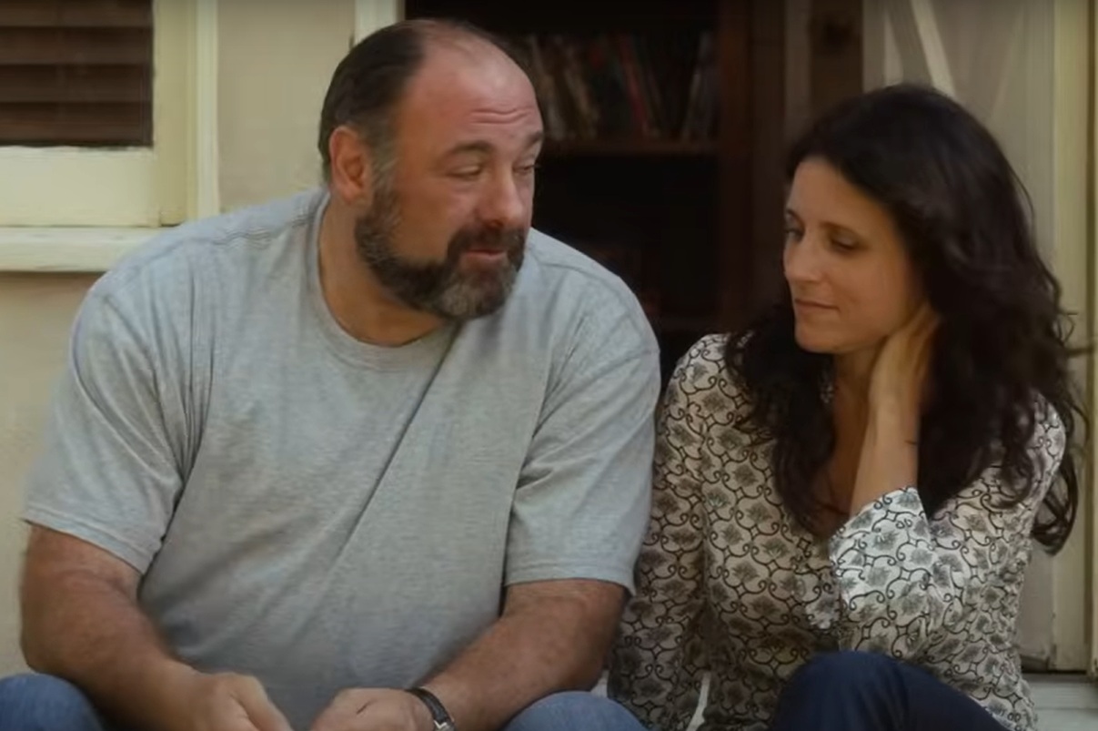 A visually captivating still taken from a pivotal moment in the film Enough Said (2013)