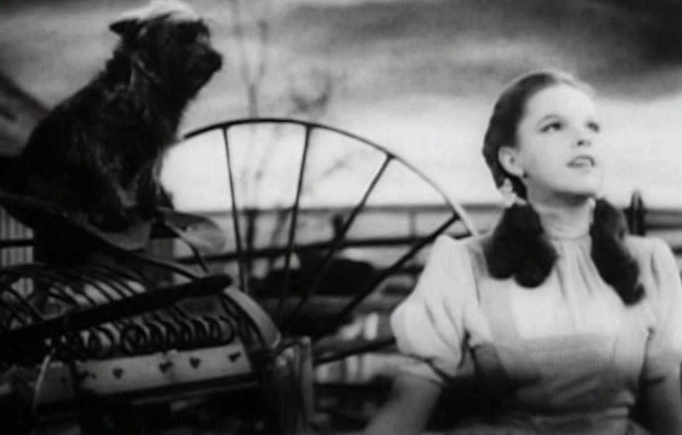 Screenshot of Judy Garland performing Over the Rainbow