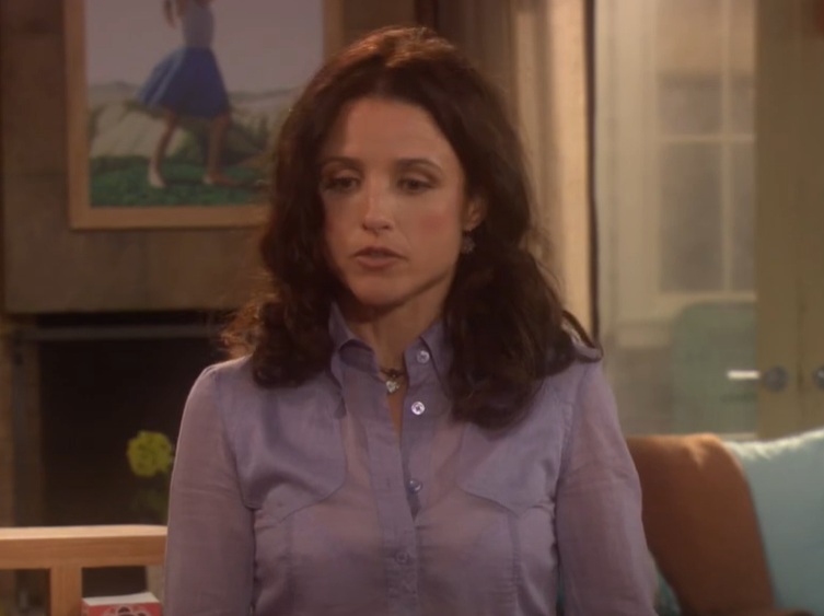 A visually captivating still taken from a pivotal moment in the television sitcom The New Adventures of Old Christine (2006-2010)