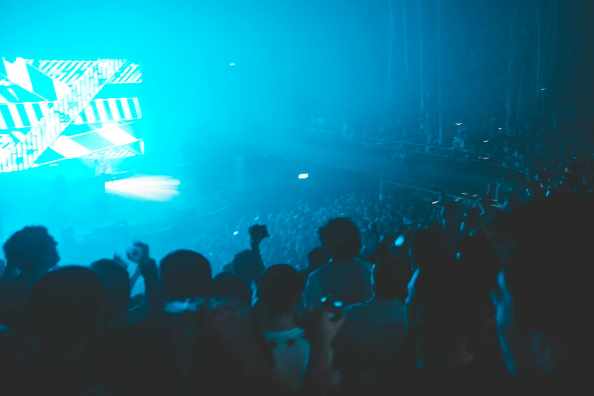 People Having Fun at  a Concert