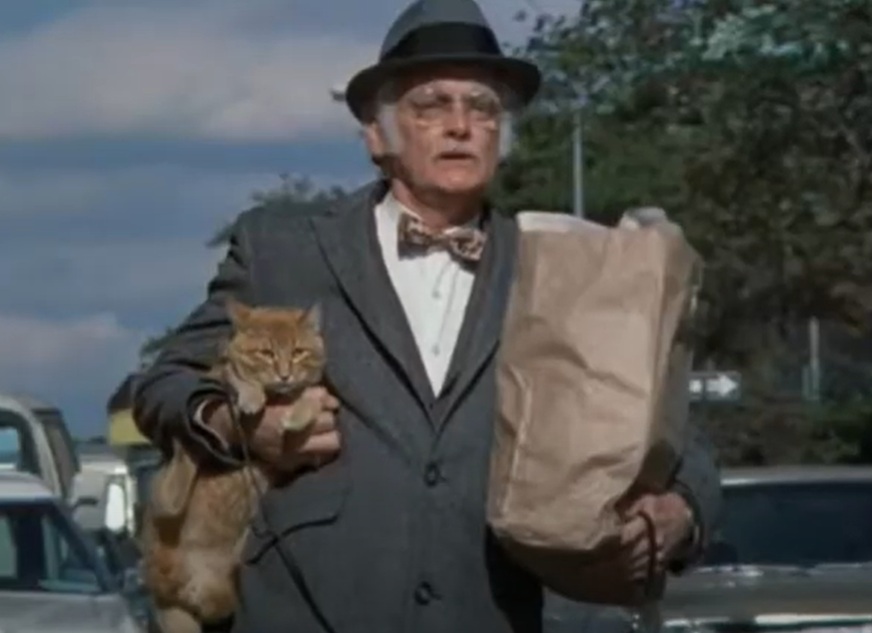 A visually captivating still taken from a pivotal moment in the film Harry and Tonto (1974)