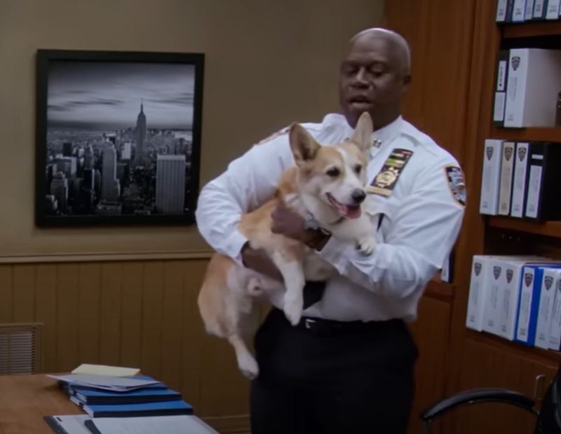 A visually captivating still taken from a pivotal moment in the television series Brooklyn Nine-Nine (2013-2021)