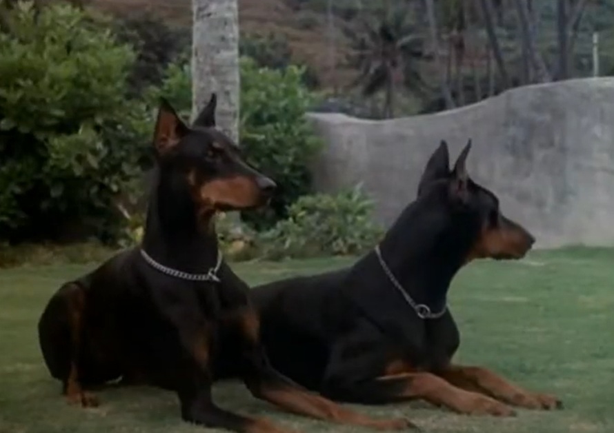 A visually captivating still taken from a pivotal moment in the television series Magnum, P.I. (1980-1988)