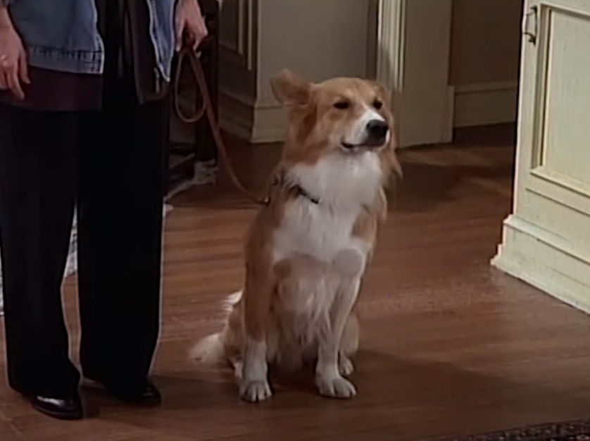 A visually captivating still taken from a pivotal moment in the television series Mad About You (1992-2019)