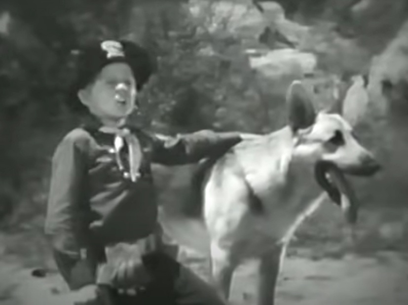A visually captivating still taken from a pivotal moment in the television series The Adventures of Rin-Tin-Tin (1954-1959)