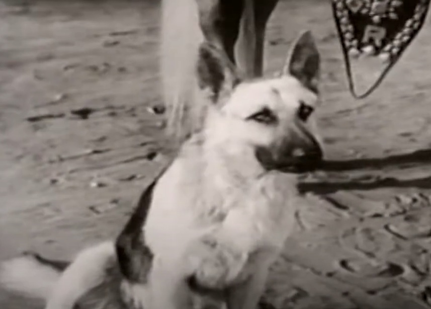 A visually captivating still taken from a pivotal moment in the television series The Roy Rogers Show (1951-1957)