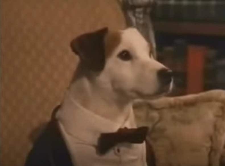 A visually captivating still taken from a pivotal moment in the television series Wishbone (1995-1997)