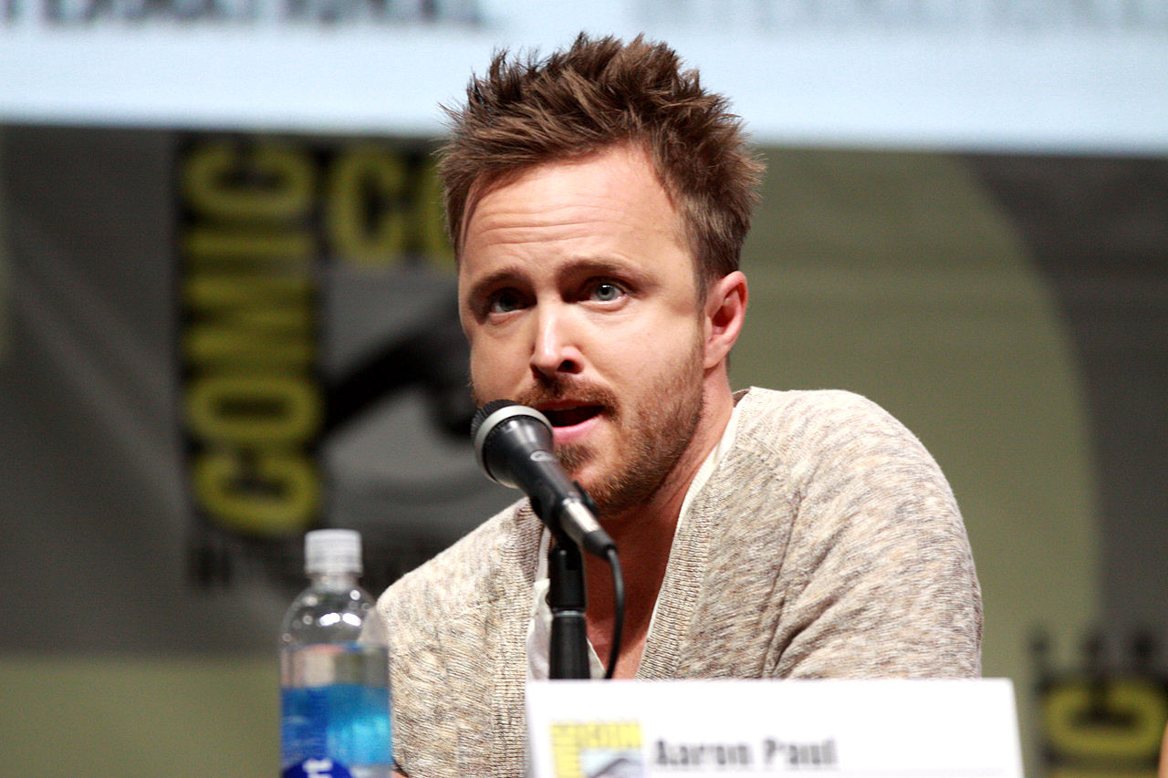 Aaron Paul from Breaking Bad
