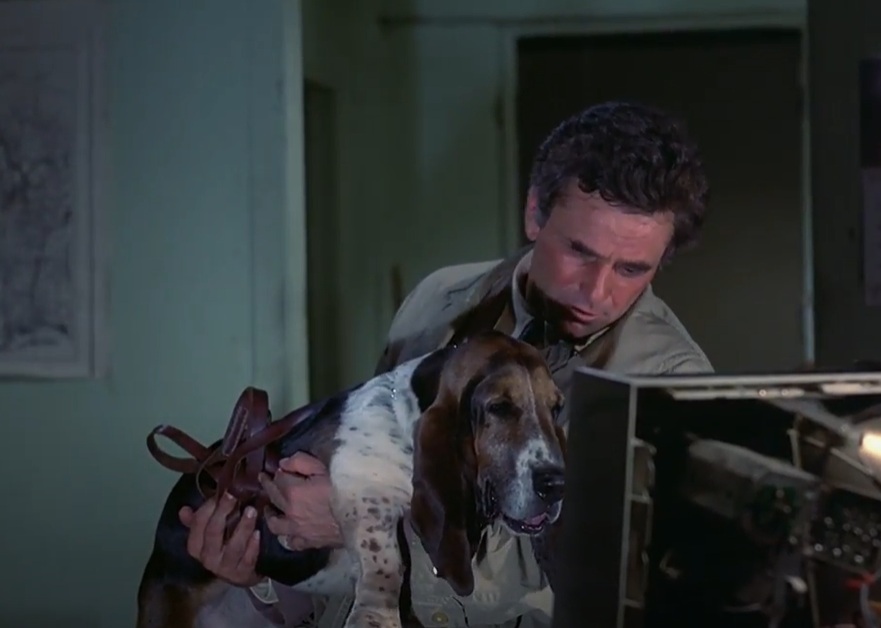 A visually captivating still taken from a pivotal moment in the television series Columbo (1968-2003)