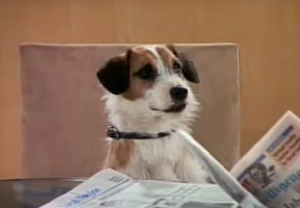 A visually captivating still taken from a pivotal moment in the television series Frasier (1993-2004)