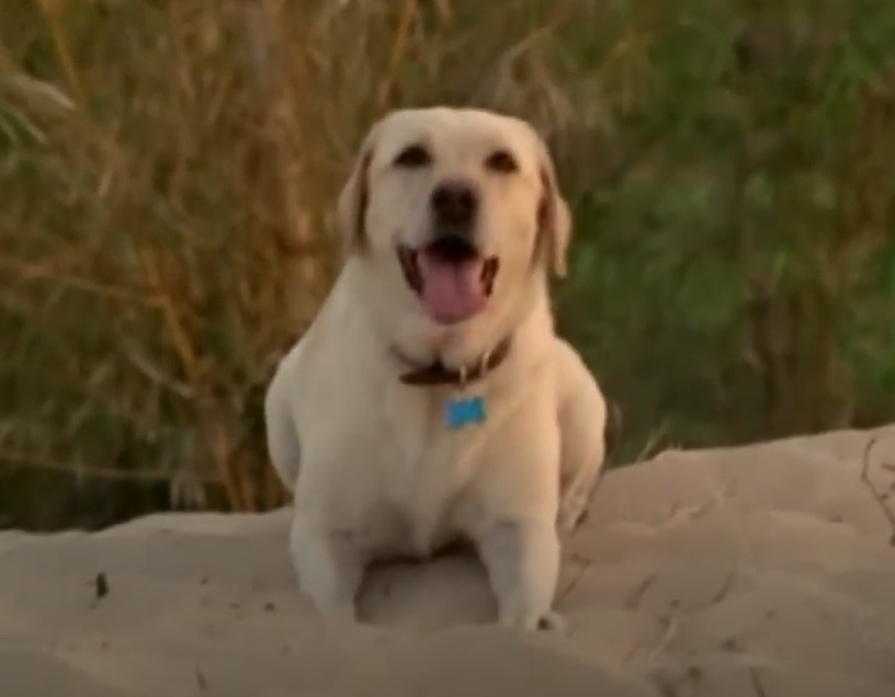 A visually captivating still taken from a pivotal moment in the television series Lost (2004-2010)