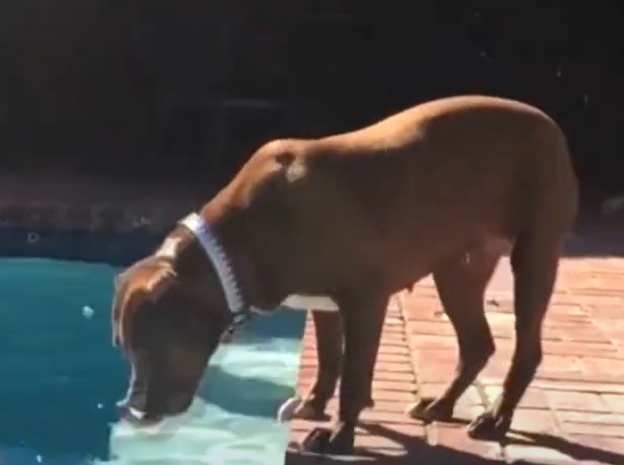 A visually captivating still taken from a pivotal moment in the television series Star Trek: Picard (2020-2023)