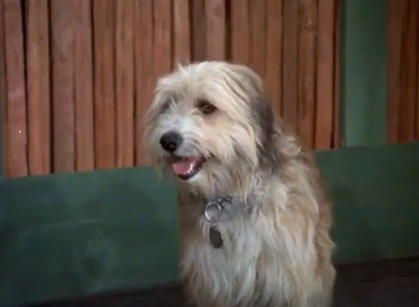 A visually captivating still taken from a pivotal moment in the television series The Brady Bunch (1969-1974)