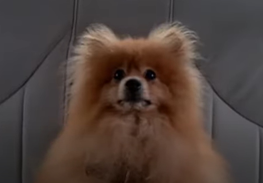 A visually captivating still taken from a pivotal moment in the television series The X-Files (1993-2018)