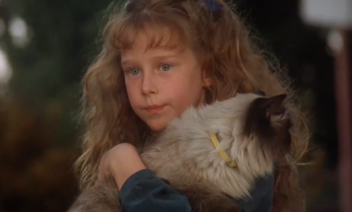 Screenshot from the movie Homeward Bound: The Incredible Journey (1993)