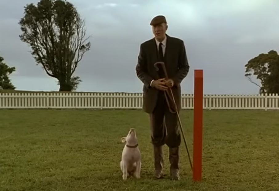 Screenshot from the movie Babe (2006)