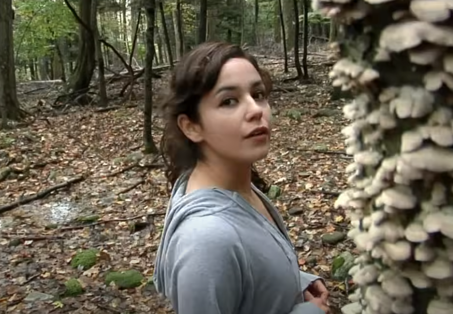 Screenshot of the movie V/H/S