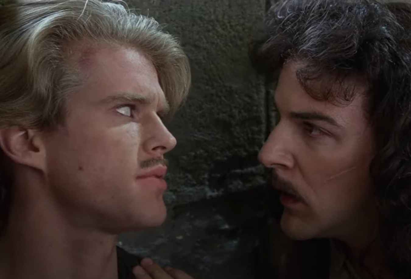 Screenshot of Cary Elwes and Mandy Patinkin from - The Princess Bride (1987)