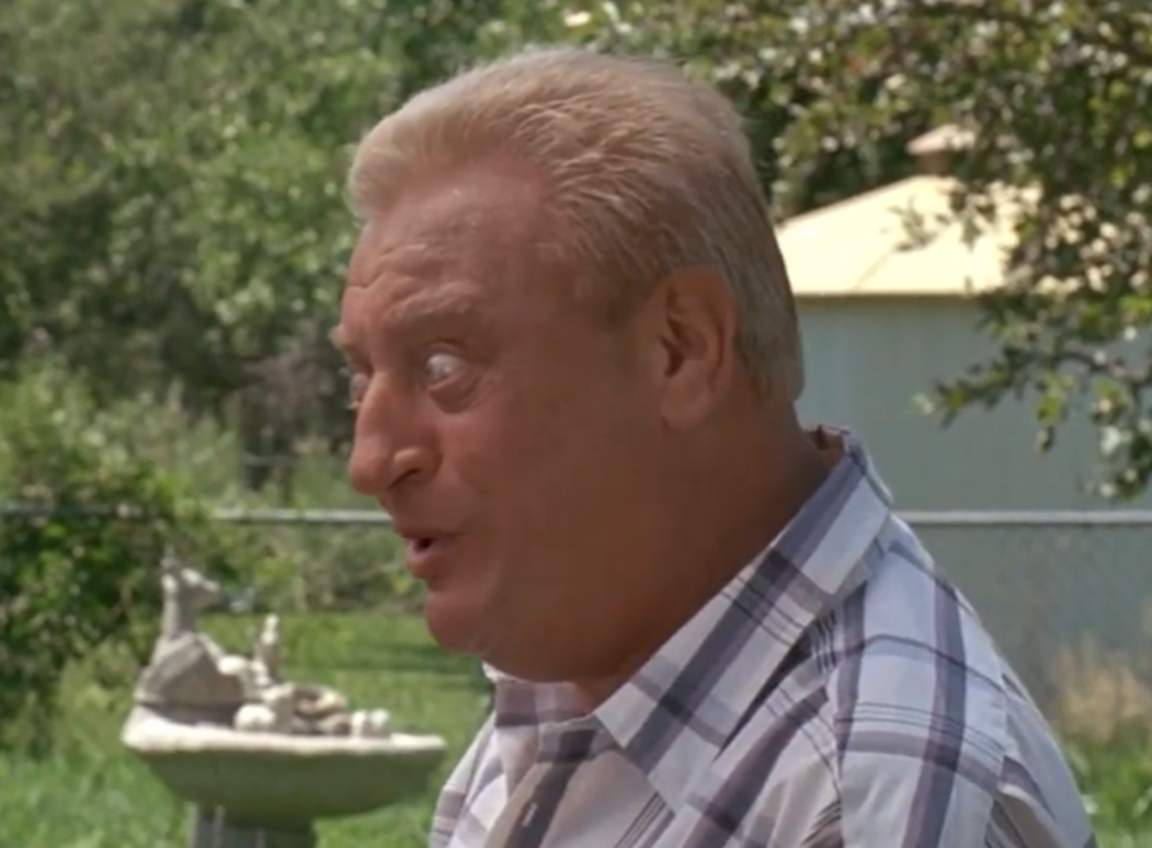 Screenshot of Rodney Dangerfield from - Ladybugs (1992)