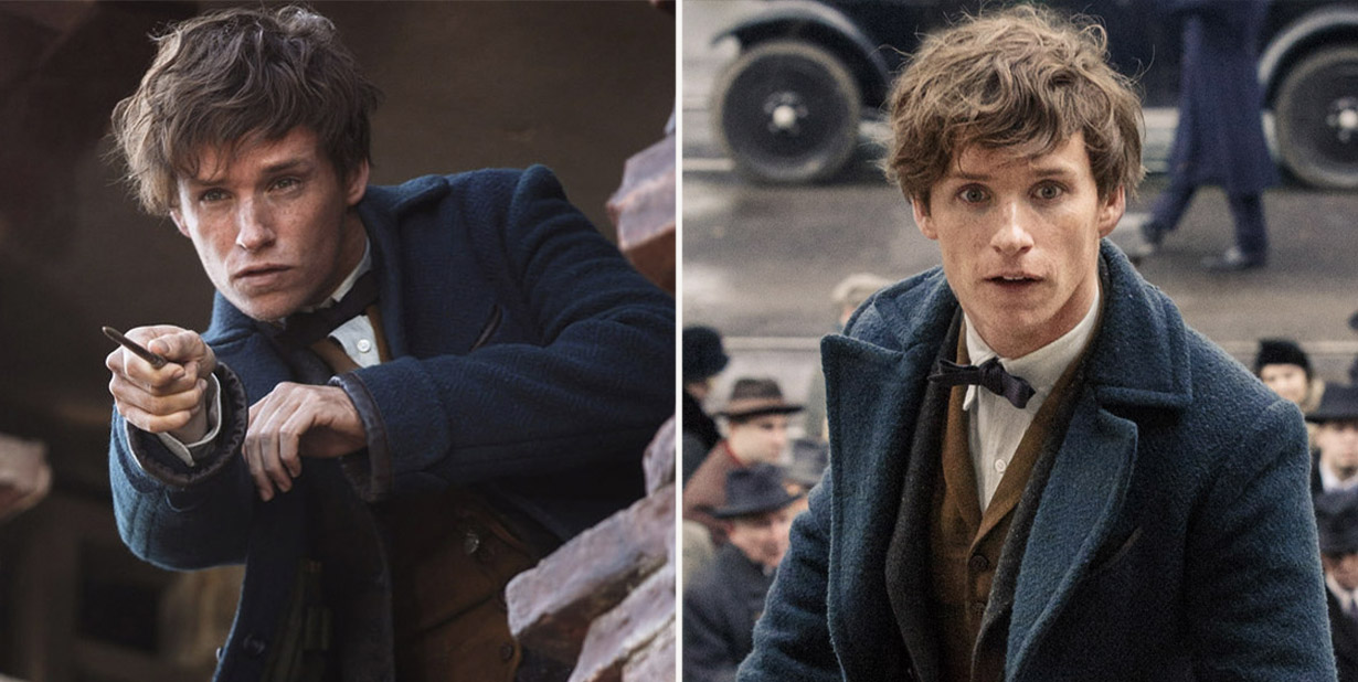 Newt Scamander