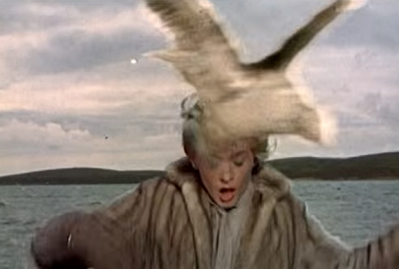 Tippi Hedren And Seagull - The-Birds 1963