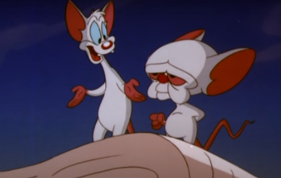 image from Pinky and the Brain