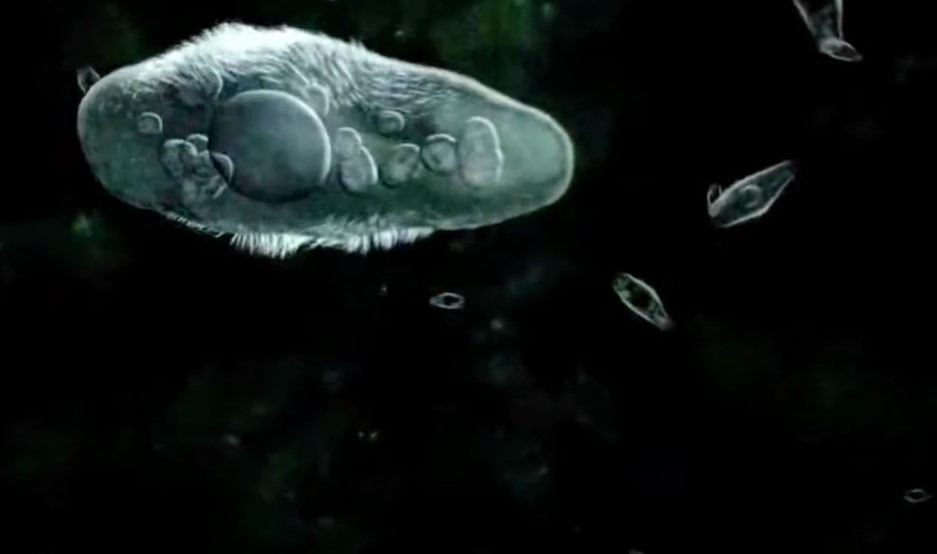 War of the Worlds (2005) Screenshot