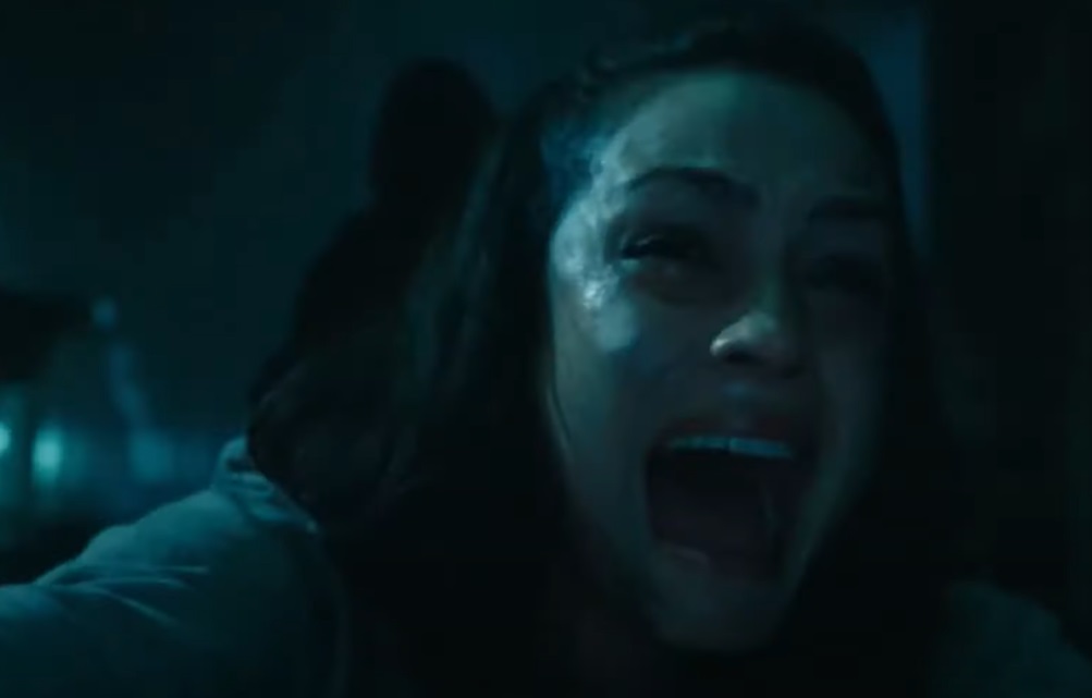Screenshot of screaming woman from - One Missed Call (2008)