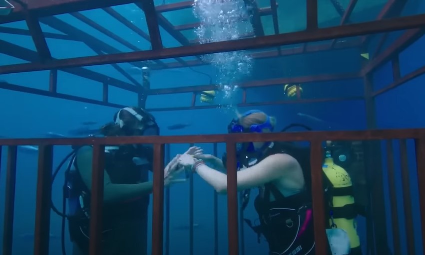 47 Meters Down (2017)