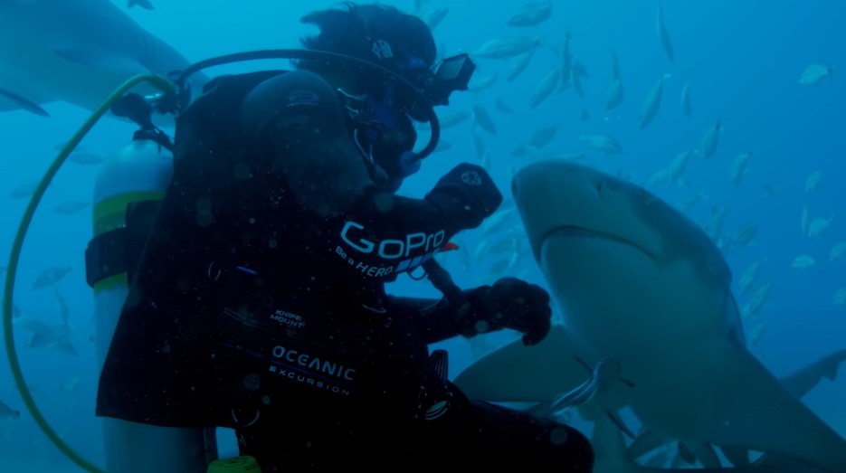 Sharkwater Extinction (2018)