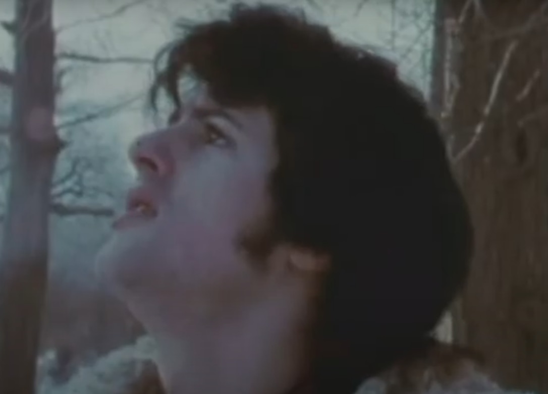 Screenshot from the movie The Party at Kitty and Stud's (1970)