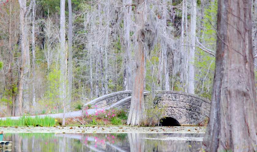 South Carolina’s Cypress Gardens