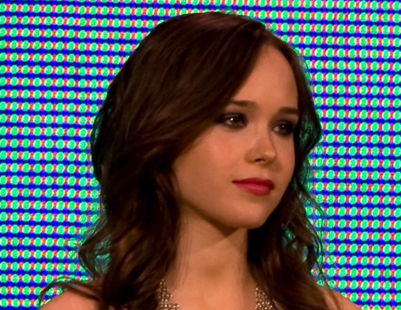 Portrait Photo of Elliot Page at the Whip It roller derby presentation