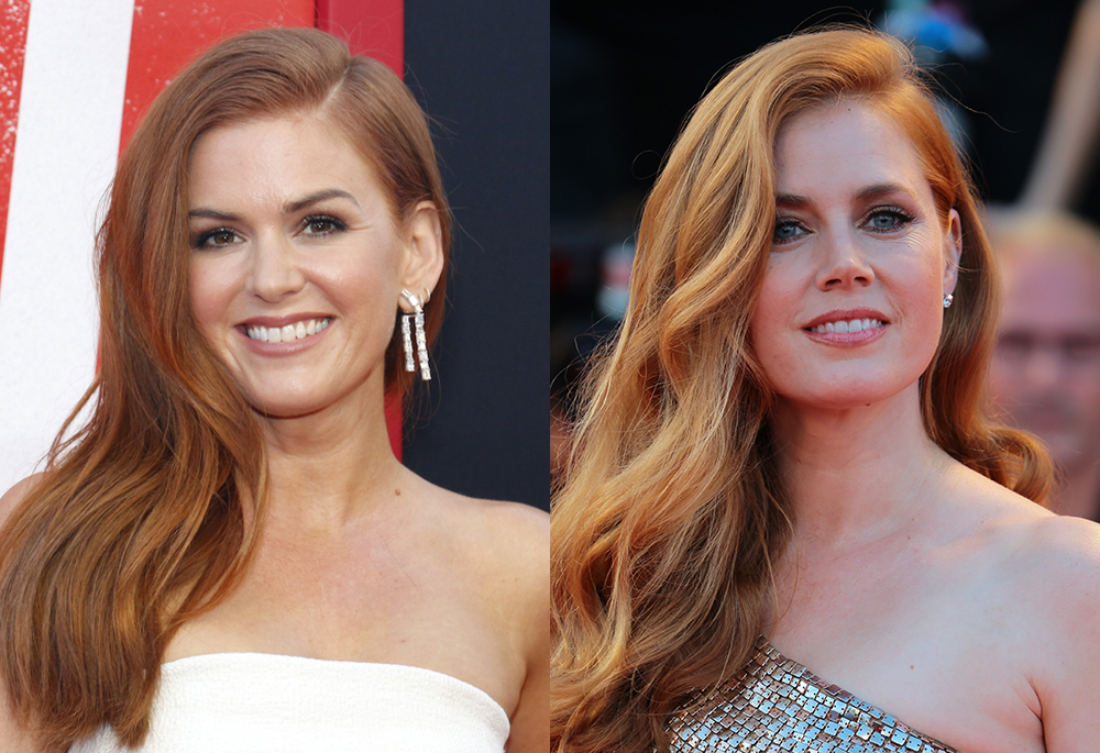 Isla Fisher And Amy Adams