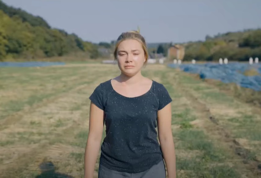 Screenshot from the Movie Midsommar (2019)