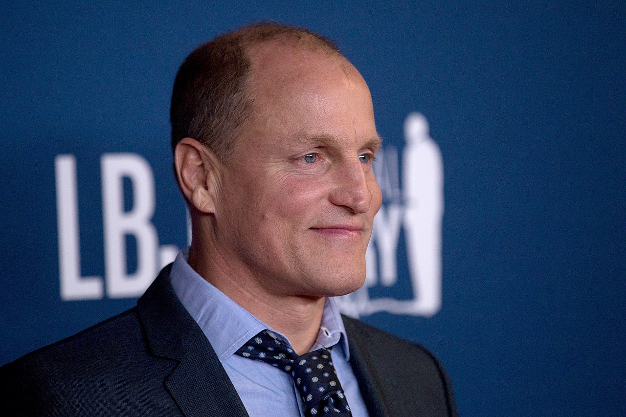 Woody Harrelson looking at side - 2016