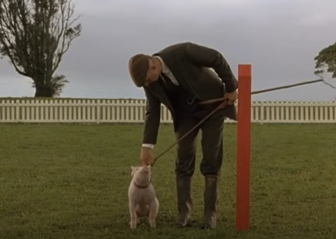 Screenshot from the movie Babe (1995)