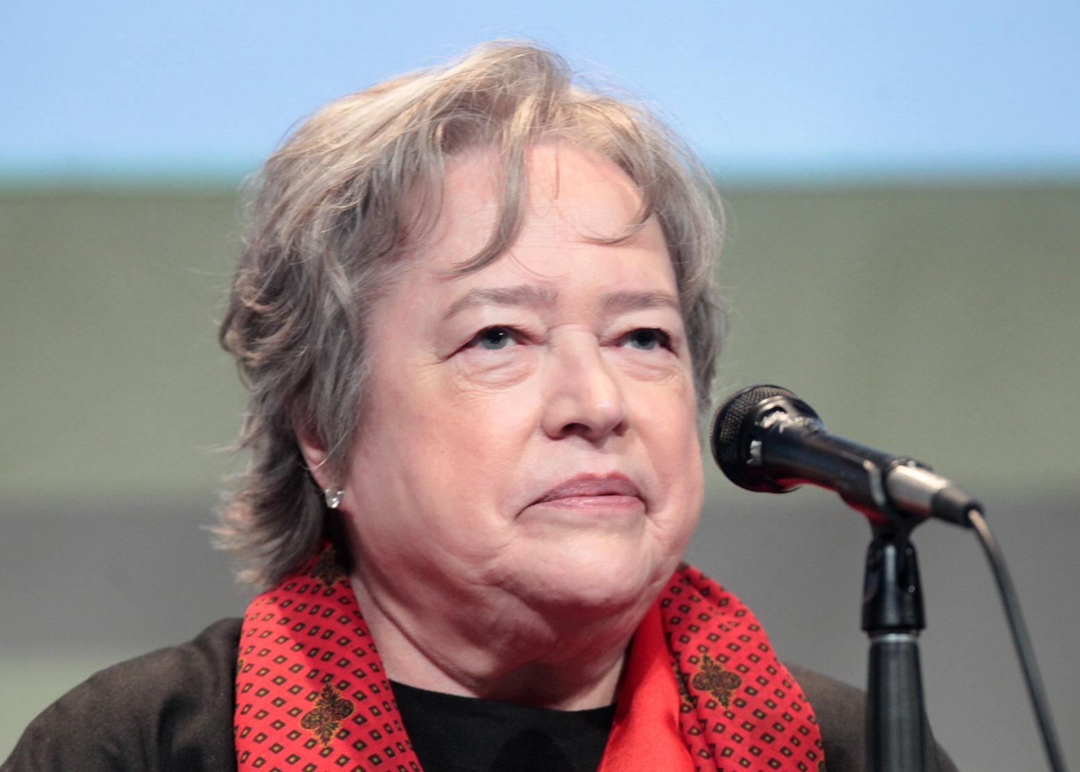Kathy Bates speaking at the 2015 San Diego Comic Con International.