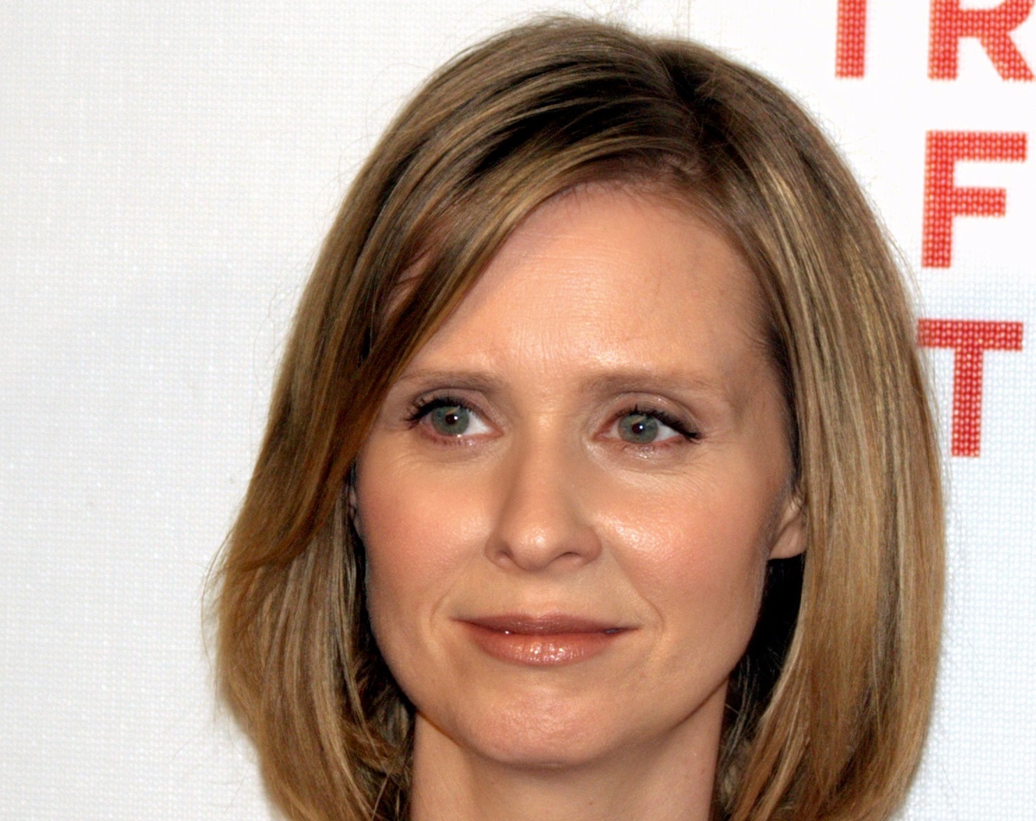Portrait of Cynthia Nixon - 2009