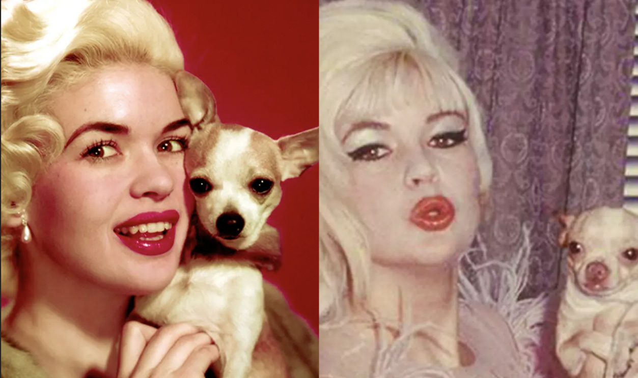 Jayne Mansfield Split