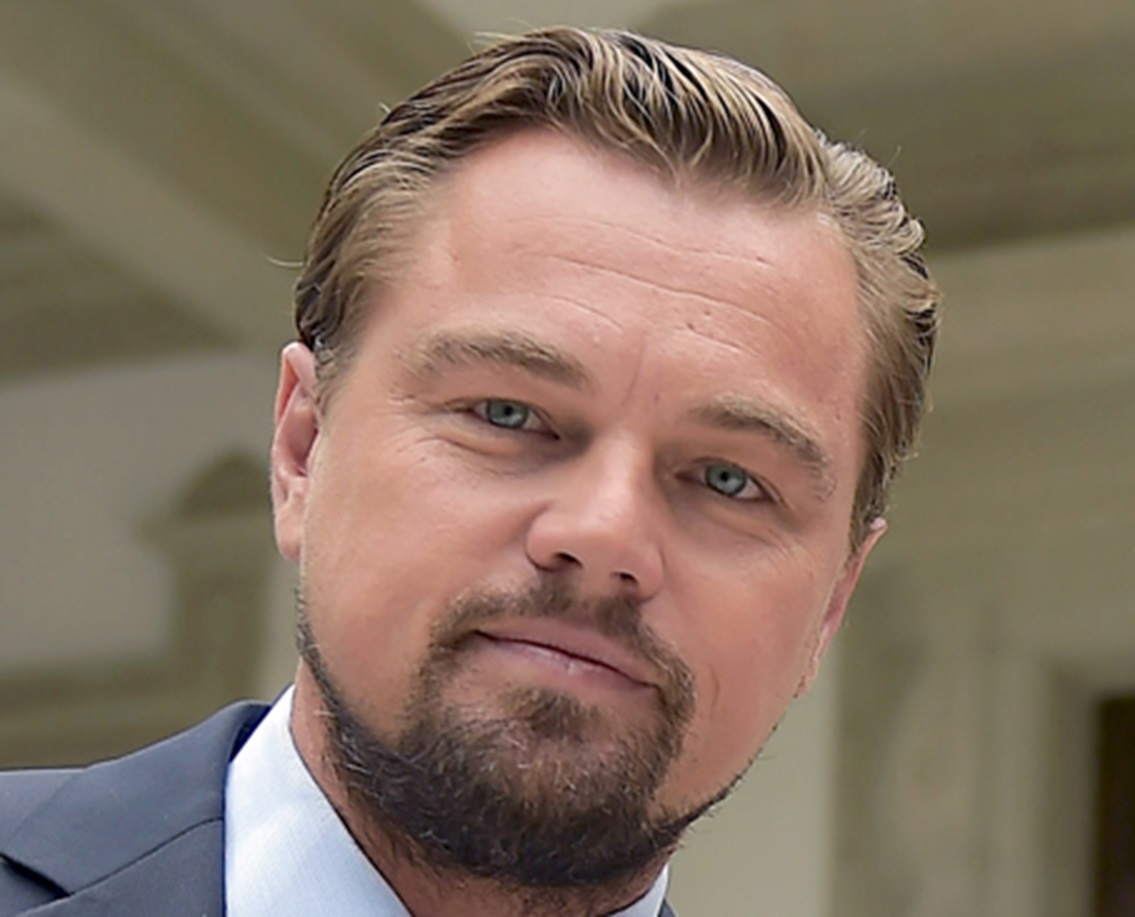 Leonardo DiCaprio looking at camera - 2017