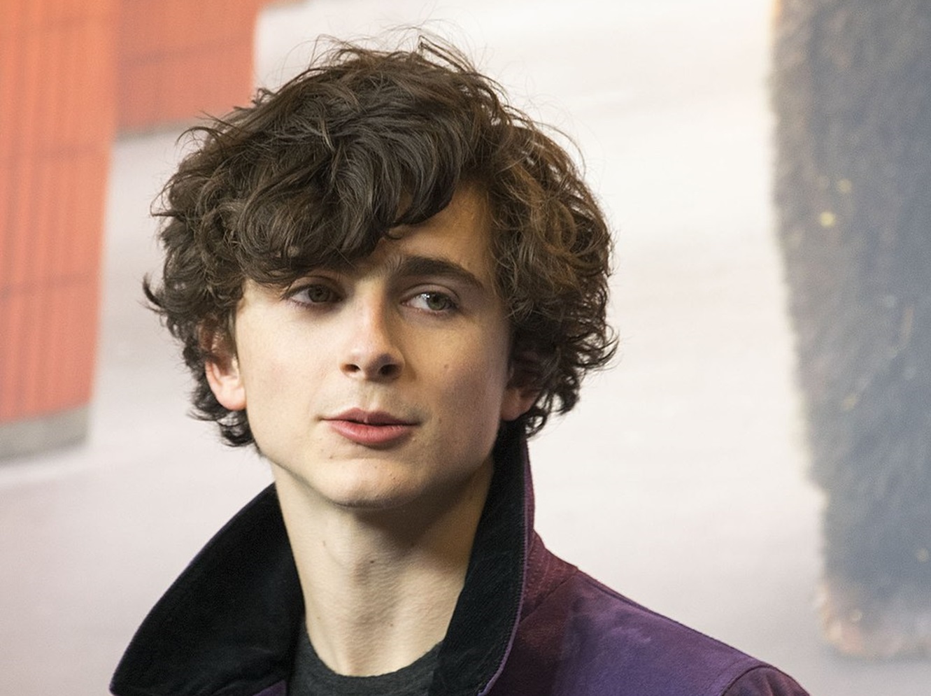 Timothée Chalamet at the press conference of the film Call Me by Your Name at the 2017 Berlin International Film Festival